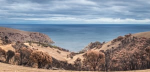 The man was bitten Sunday while surfing at D’Estrees Bay on Kangaroo Island.