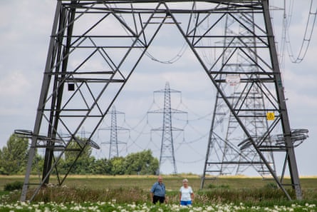 Ian and Jenny Pennington stand in one of their fields, looking tiny underneath a huge electricity pylon