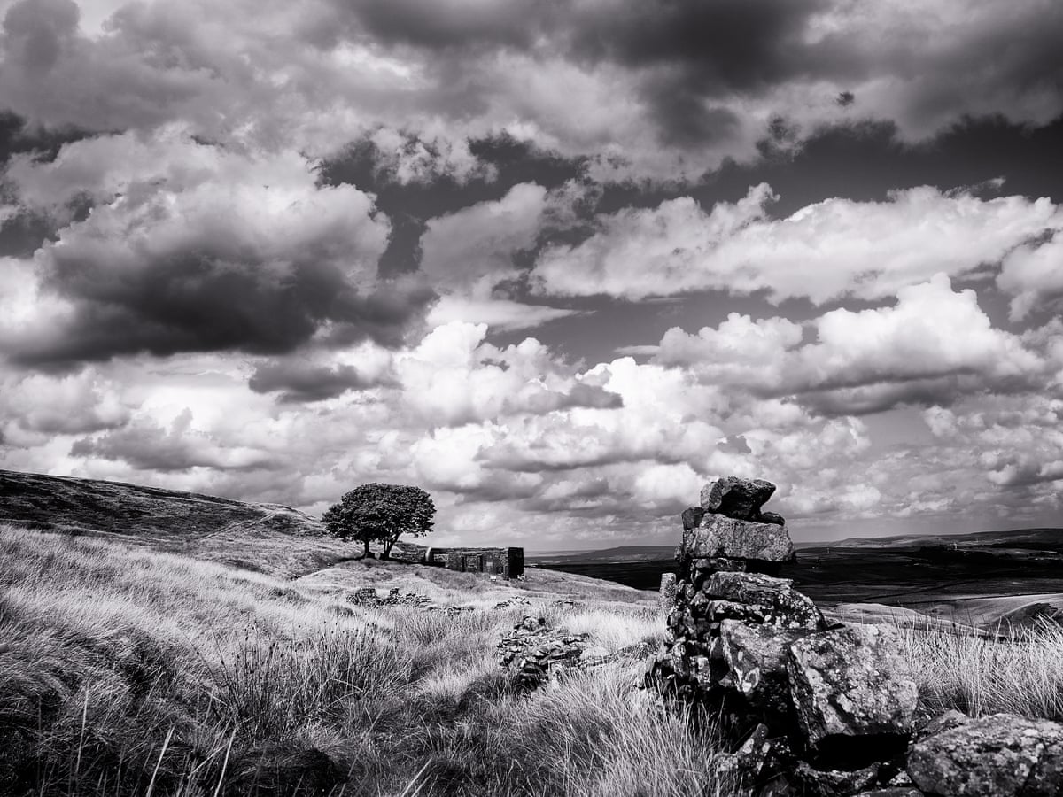 Poem Of The Week R Alcona To J Brenzaida By Emily Bronte Poetry The Guardian