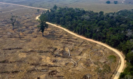 Aerial photo taken of burnt areas of the Amazon rainforest, near Porto Velho, Rondonia state, Brazil.