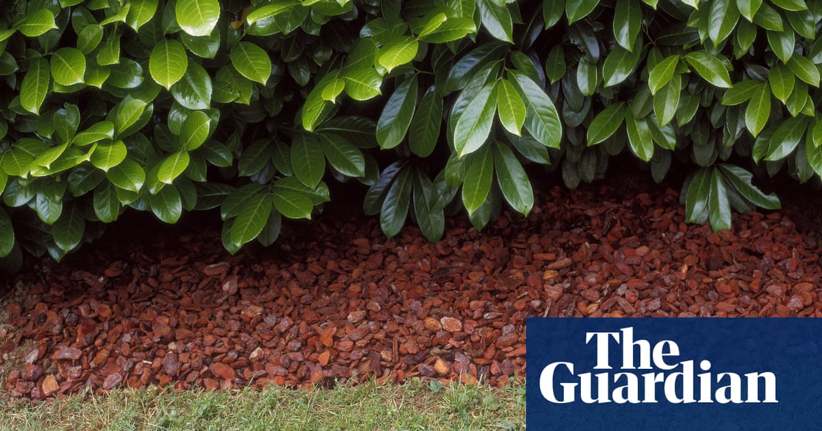 How To Mulch In Autumn Alys Fowler Life And Style The Guardian