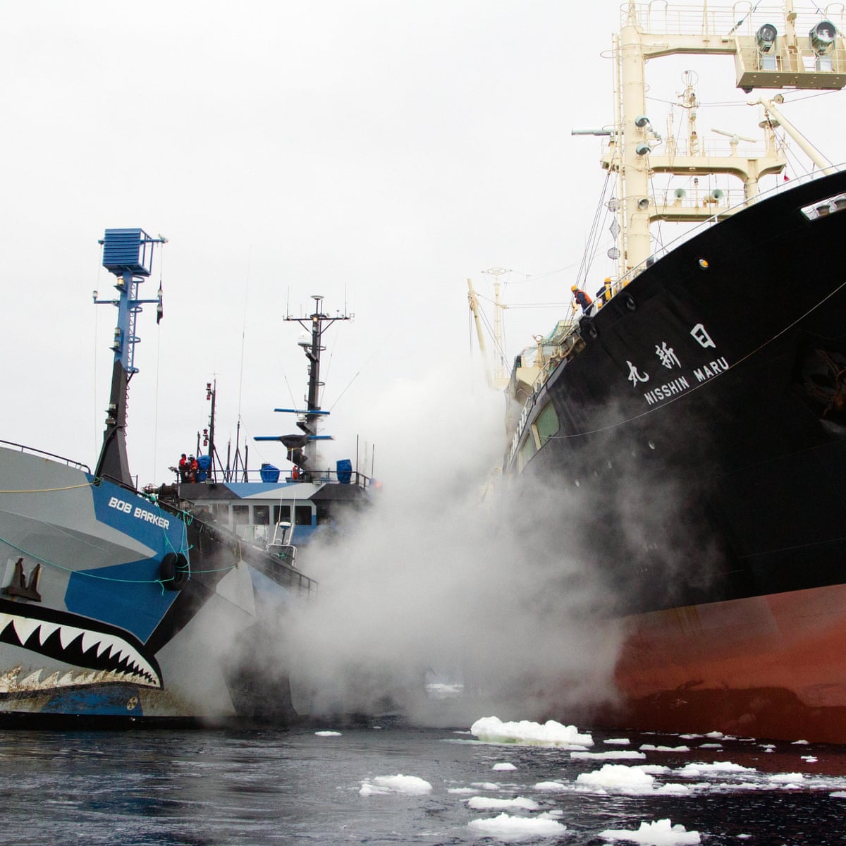 Download Sea Shepherd Captain Paul Watson I Call What We Do Aggressive HD Get Wallpaper Sea Shepherd Captain Paul Watson I Call What We Do Aggressive Free