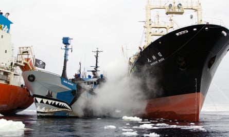 Nisshin rams Bob, steam from water cannon. A still from the Sea Shepherd film Defend, Conserve, Protect.