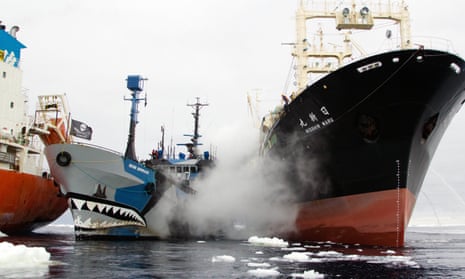 ‘We’re in the midst of this almost naval-like battle.’ A Sea Shepherd boat is rammed by a Japanese whaling ship in the documentary Defend, Conserve, Protect.