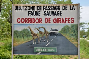 A sign warning of a giraffe corridor near the Benoue national park, Cameroon.