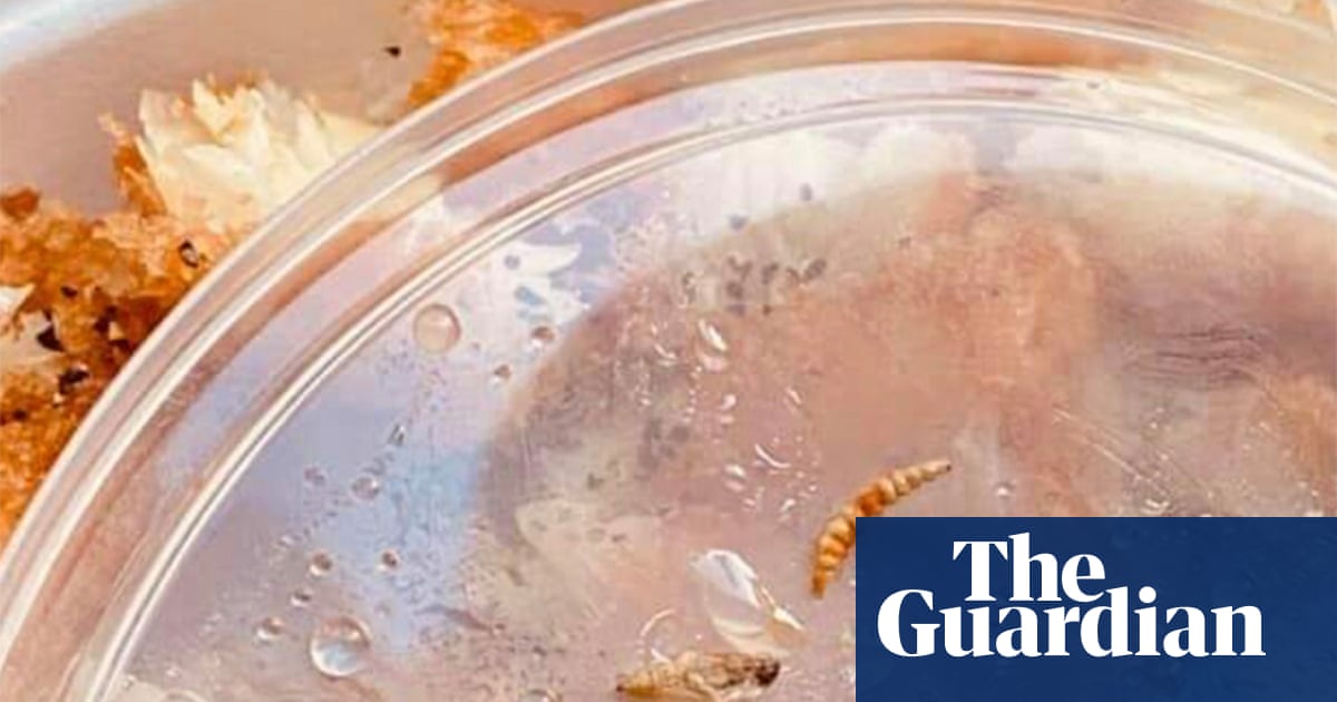 Immigration detainee not given new food because maggots ‘just on the vegetables’, report finds