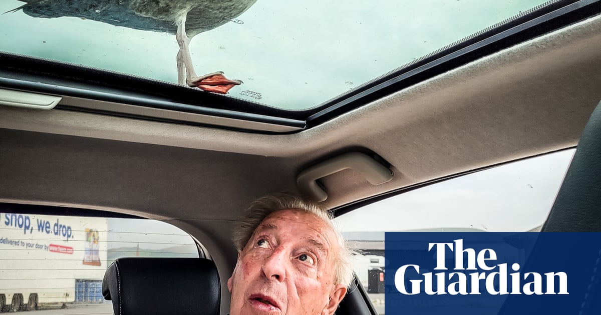 'A lovely opportunity to capture a funny moment': Lorraine Poole's best phone picture