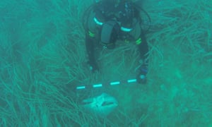 The remains are thought to come from three different skeletons