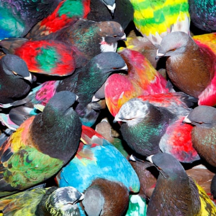 Blawan’s SickElixir album cover.