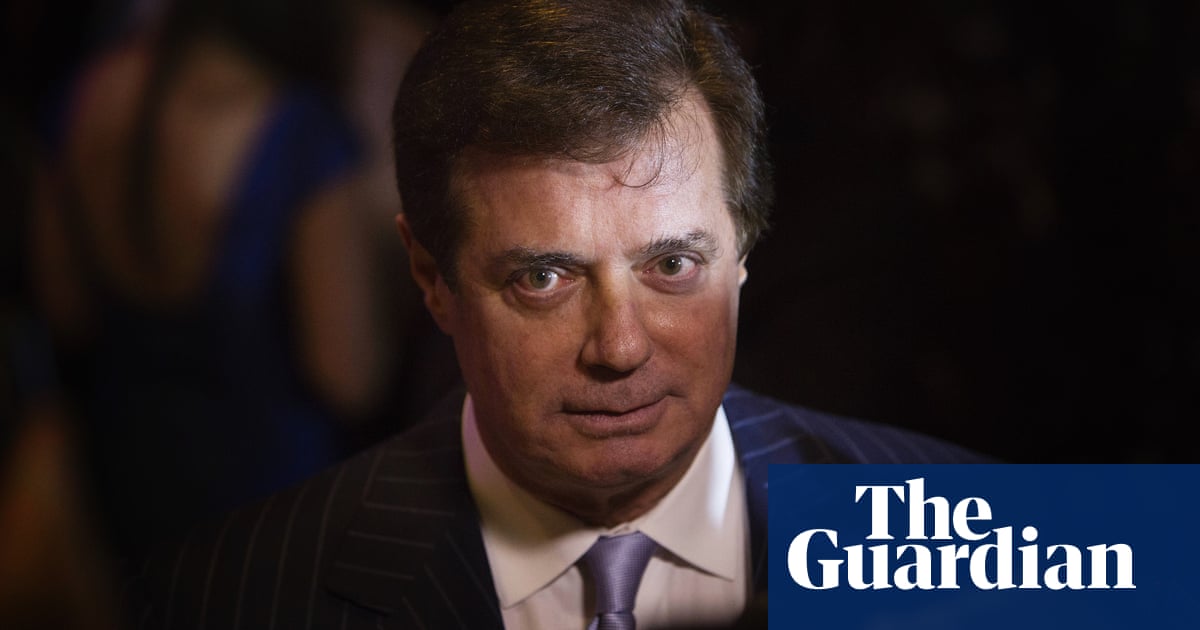 Image result for manafort and german ukrainian ngo-s