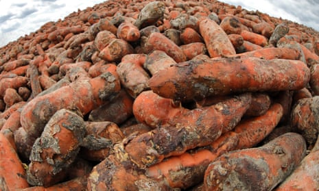 Tonnes of unsold carrots dumped outside Kiev, Ukraine.