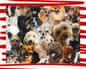 A woman with tattooed arms sits beside a collage of various dog breeds