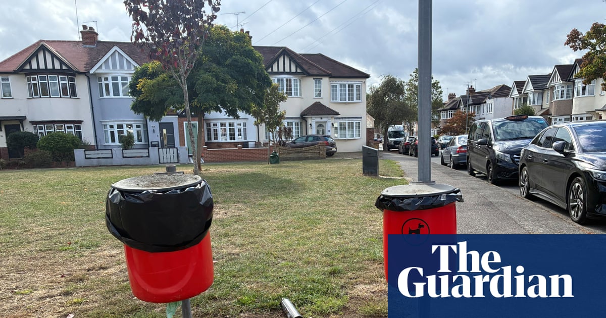 Hitting the fan: London council angers residents with removal of 700 dog-waste bins
