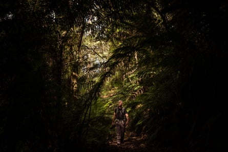 Wildlife and Conservation photojournalist Doug Gimesy wanders through the wet forest near the headwaters of Skenes Creek. This trip was the first time Doug has managed to get into the field for four months