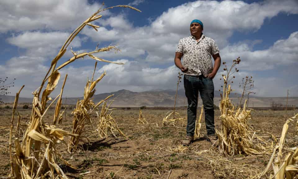 Man wearing a blue bandana stands for a portrait in a dry corn field