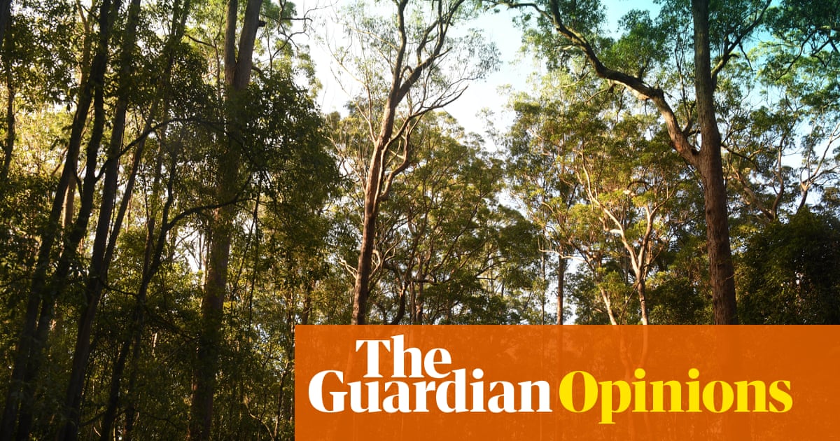 As the Coalition shows its colours on nature, Labor faces a question: will it really protect Australia’s wildlife? | Clear Air