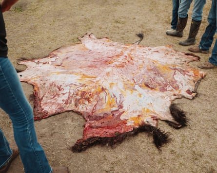 A splayed-out fresh hide on scrubby ground, with a few people, their boots and jeans visible, standing around it.