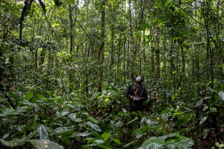 A man wearing a face mask stands in the middle of a forest