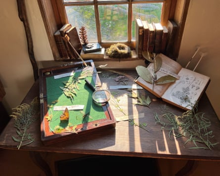 desk with dried flowers