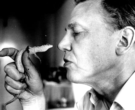 David Attenborough in 1984, looking at an Australian pygmy goanna lizard.