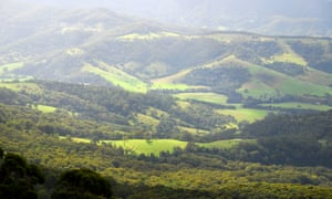 Reforestation is the least controversial negative emissions technology - but a substantial amount of good quality land is needed.
