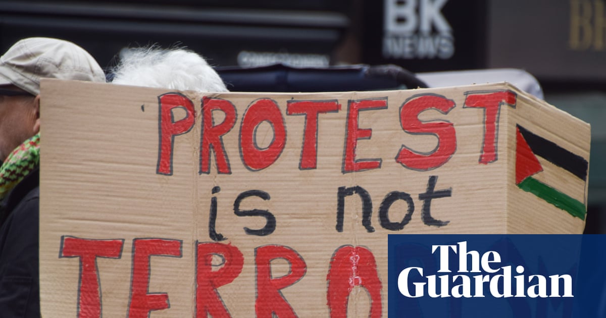 Palestine Action ban created culture of fear', UK appeal court hears