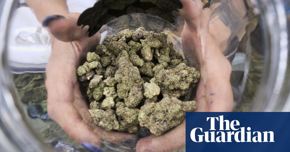 California Legalized Weed Five Years Ago. Why Is The Illicit Market Still  Thriving? | California | The Guardian