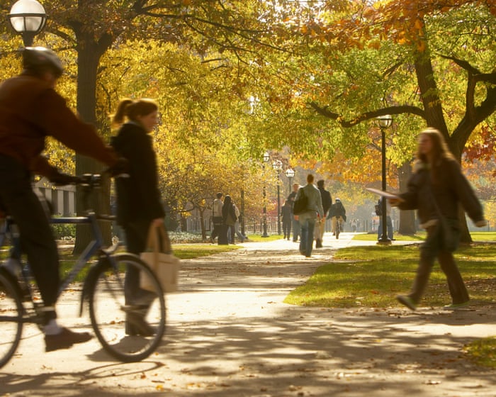 US students and professors: tell us if the Epstein files have affected your university