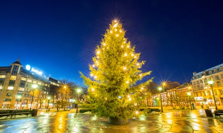light Christmas tree Christmas tree light in oslo city Norway