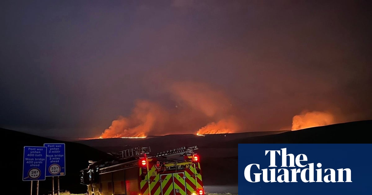 Wales Wildfires: Man, This Ain't Just 'Bout Trees, It's 'Bout Life!