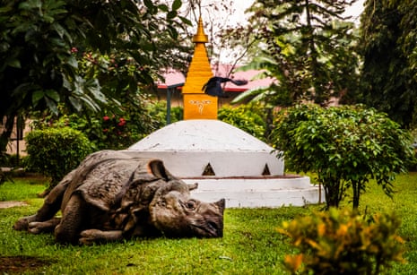 A rhino lies on the grass next to decorative monument in a park