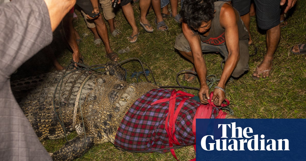 Indonesia crocodile freed from tyre after five years