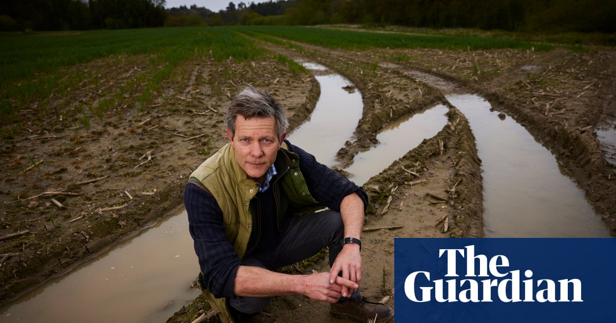 ‘Water everywhere’: Shropshire farmers race to salvage harvest after record rain | Farming