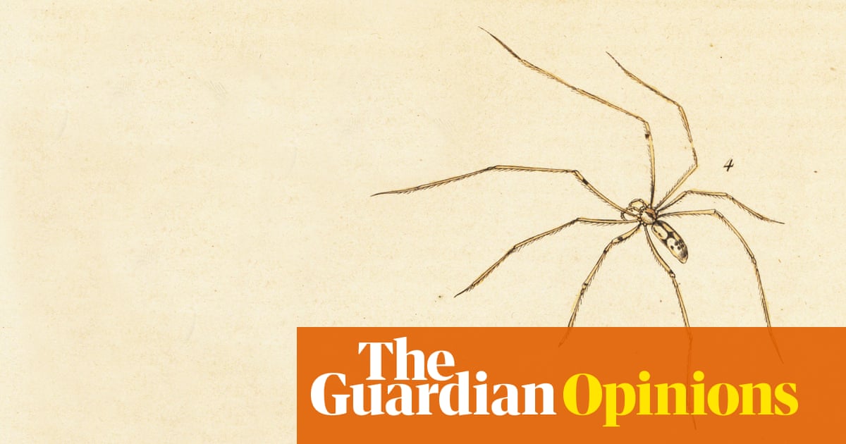 Daddy longlegs: there is one piece of information every child will know