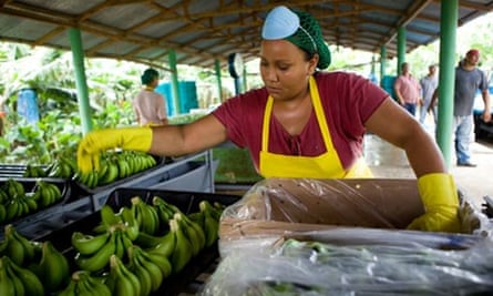 A worker in a banana plantation