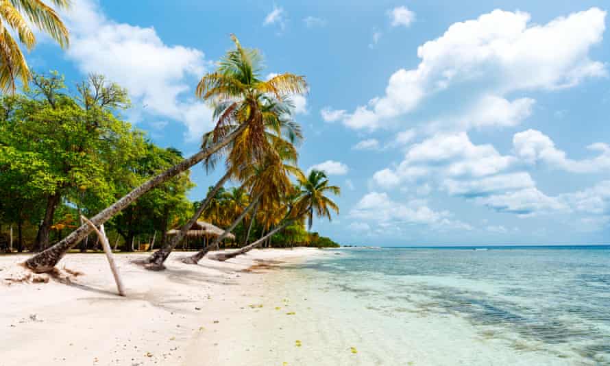 Mustique beach with white sand and palm trees