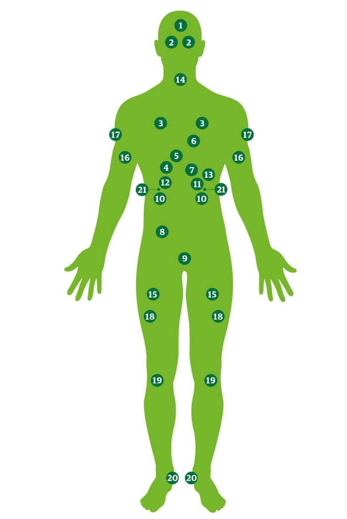 Don T Know Your Spleen From Your Adrenals Test Yourself Science don t know your spleen from your
