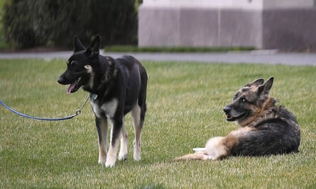 Commanders to introduce new team dog at first home game