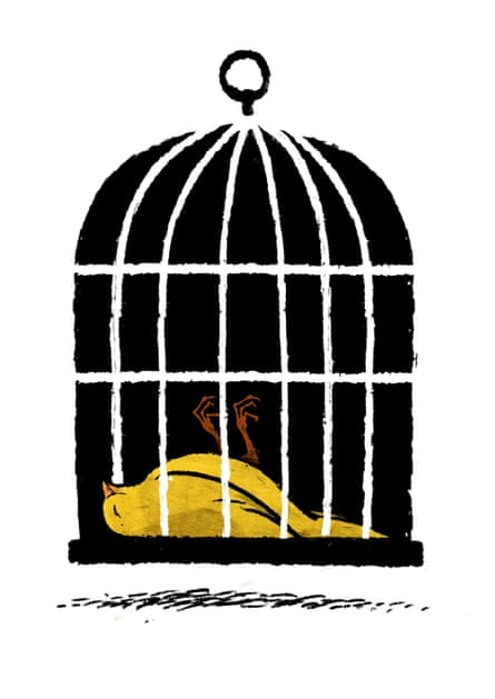 Illustration by David Foldvari of a dead canary in a birdcage.
