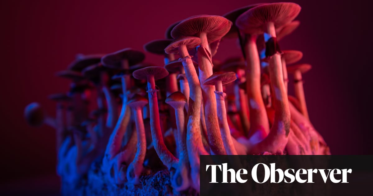 ‘This isn’t the 60s again’: psychedelics business takes off amid culture clash