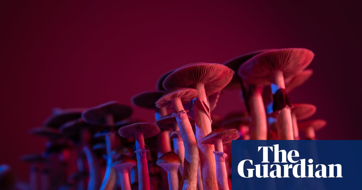 On Drugs by Justin Smith-Ruiu review – a philosopher’s guide to psychedelics