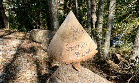 a piece of tree with writing on it