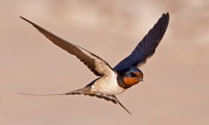 Tesco jobs in norwich Tesco jobs in norwich