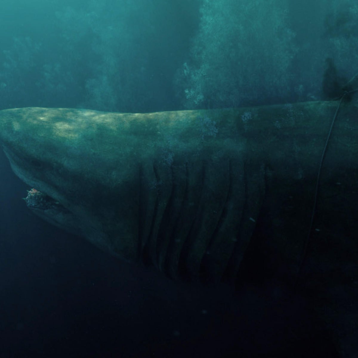 The Meg It S Got Shark Punching But It S Also Got A Message About The Environment Yes Really The Meg The Guardian