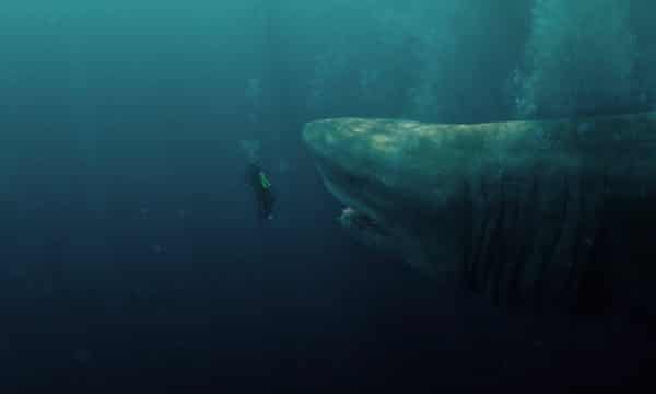 The Meg Review Jason Statham Is Left All At Sea Action And Adventure Films The Guardian