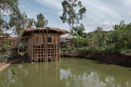 A wooden hut in a shallow pond.