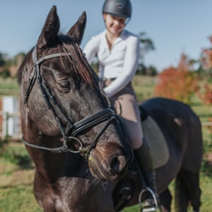A chocolate-coloured horse with a teenage girl in the saddle