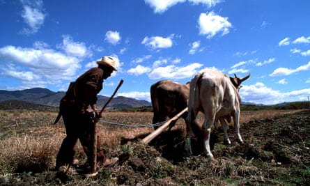 A campesino ploughs a field in the state of Oaxaca, Mexico. Integration is particularly hard for children in communities rife with poverty and illiteracy.