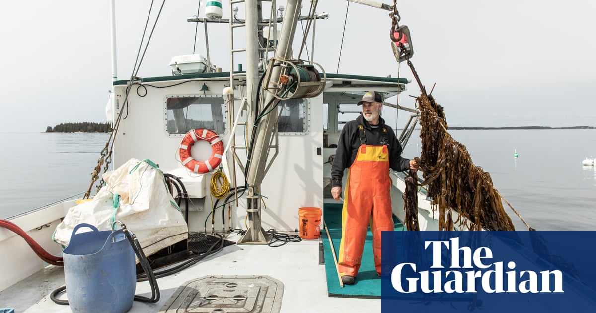 I M Not A Quitter Lobstermen Turn To Kelp Farming In The Face Of Climate Crisis Environment The Guardian