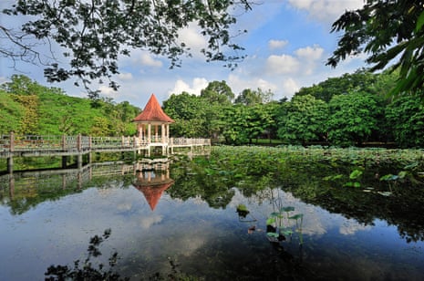 Reflection of the gazebo on the pond filled with lotus at Taiping Lake Garden, Taiping, Malaysia.